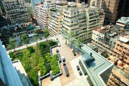 Hysan2.jpg