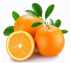 蔬菜