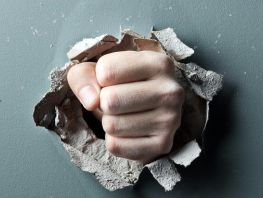 涉及O2O全渠道营销的运营主体进一步扩大。实体门店支撑了O2O全渠道零售的半边天。